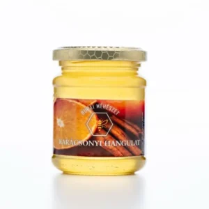 Karácsonyi hangulat